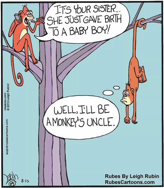 Post your jokes and humor here.
