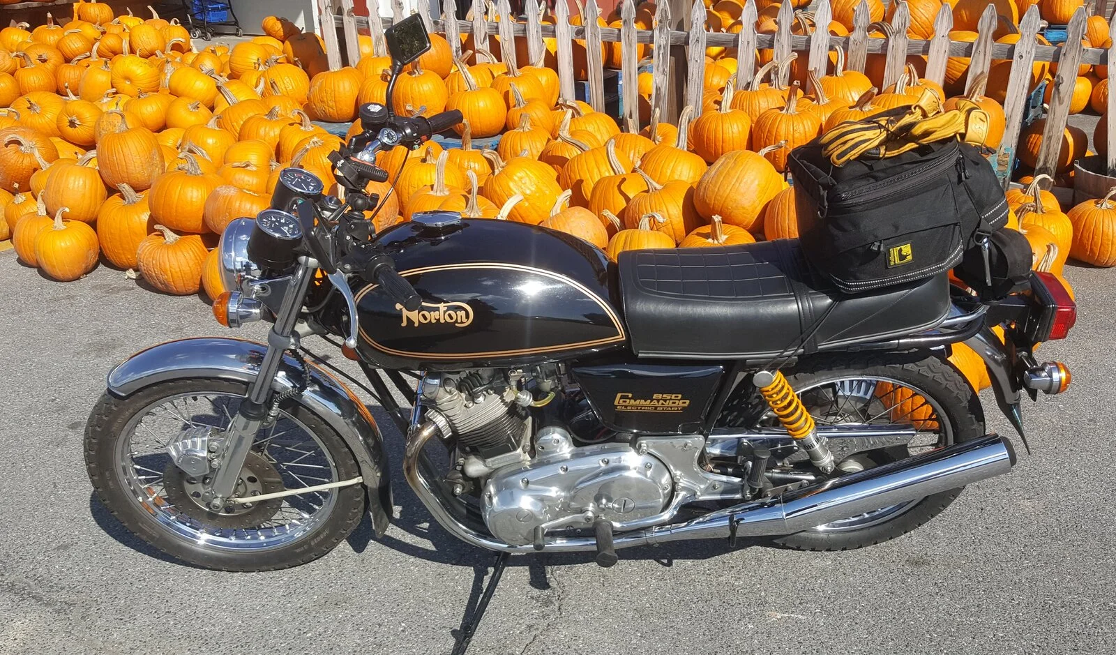 What Did You Do With Your Commando Today?