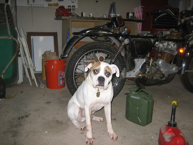 Reviving a Norton