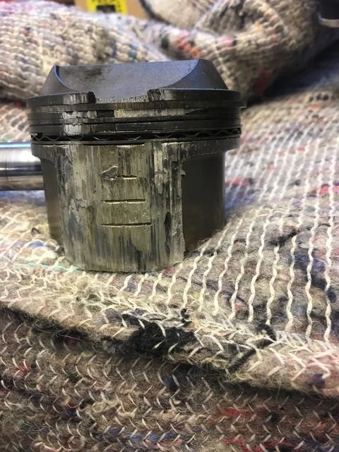 Low friction fork bushes
