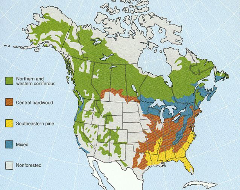 MSU_Forest_map.webp