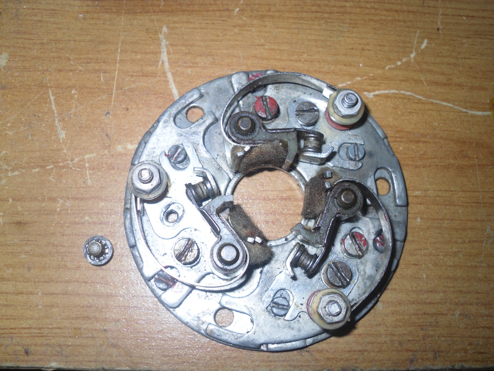 SDC15526.JPG