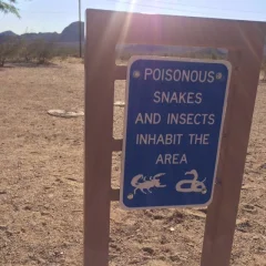 "Route 66 & ride to Seattle"