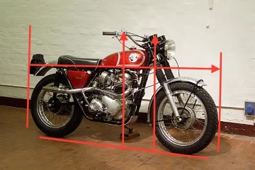 P11 - height and length measurement