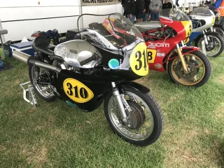 Adelaide Motorsport Festival