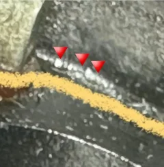 Barrell cylinder ever crack?