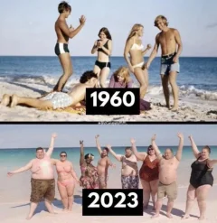 Post your jokes and humor here.