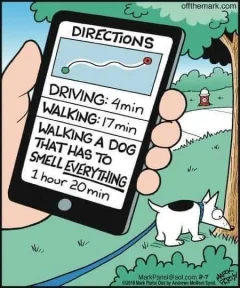 Post your jokes and humor here.