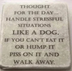 Post your jokes and humor here.