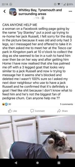 Post your jokes and humor here.