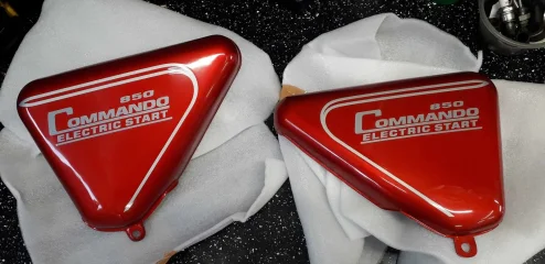 Took a punt on a tank n side panels