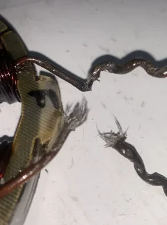 Alton stopped charging