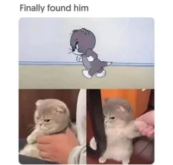 Post your jokes and humor here.