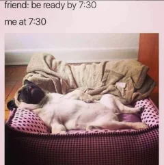 Post your jokes and humor here.