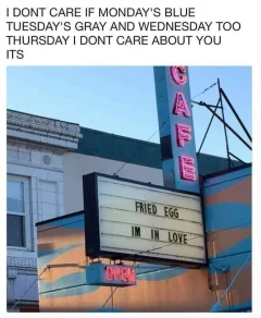 Post your jokes and humor here.