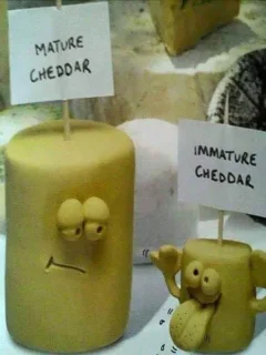 Post your jokes and humor here.