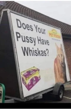 Post your jokes and humor here.