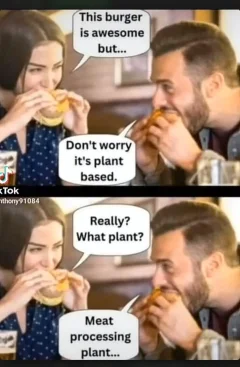 Post your jokes and humor here.