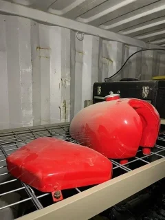 1967 P11 for parts or project?