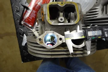 The Queen said off with her head! The Queen said off with her head!