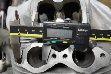 The Queen said off with her head! The Queen said off with her head!