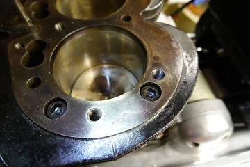 The Queen said off with her head! The Queen said off with her head!