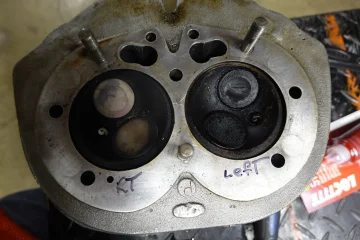 The Queen said off with her head! The Queen said off with her head!