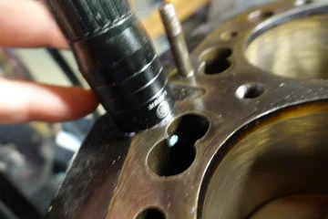 The Queen said off with her head! The Queen said off with her head!