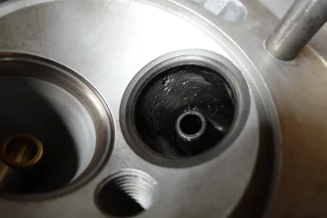 The Queen said off with her head! The Queen said off with her head!