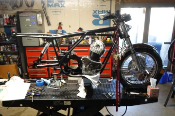 The Queen said off with her head! The Queen said off with her head!