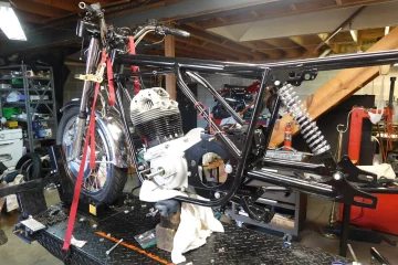 The Queen said off with her head! The Queen said off with her head!