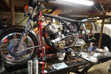 The Queen said off with her head! The Queen said off with her head!