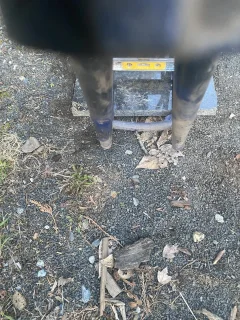 Remote purchase of frame