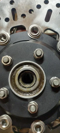 Bearing Seal?