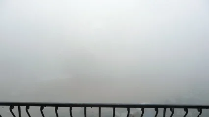 What Did You Do With Your Commando Today?