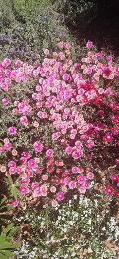 Wonderful things: Steroids and Helpers!