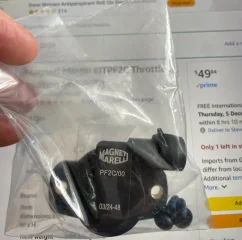 IMG_6916.webp IMG_6916.webp