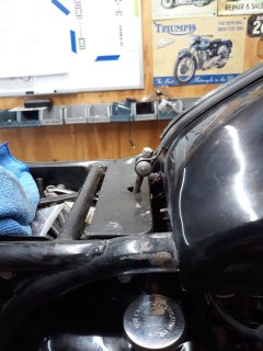 New to me 56 Domi 88. New to me 56 Domi 88.