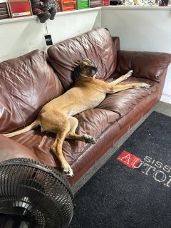 What Did You Do With Your Commando Today?