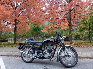 What Did You Do With Your Commando Today?