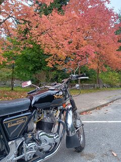 What Did You Do With Your Commando Today?