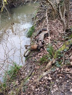 Not something I expected to see