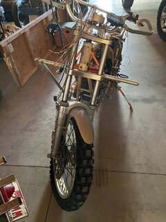 Ms peel and Trixie for sale on Facebook