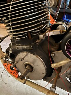 Ms peel and Trixie for sale on Facebook