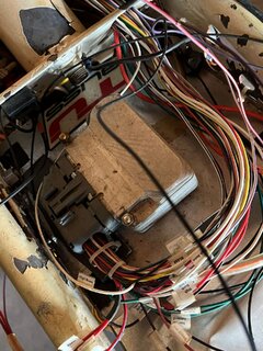 Ms peel and Trixie for sale on Facebook