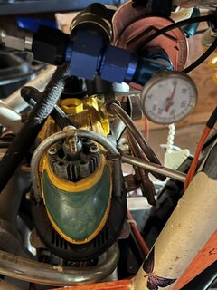 Ms peel and Trixie for sale on Facebook