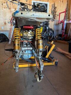 Ms peel and Trixie for sale on Facebook