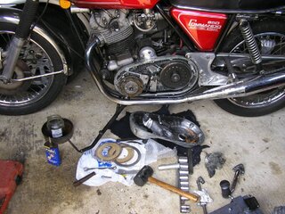 What Did You Do With Your Commando Today?