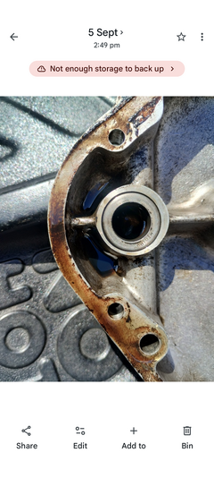 Anyone know what seal this is?