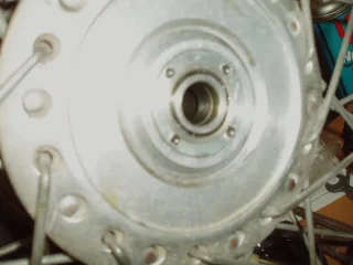 Front Wheel/Forks...what's normal